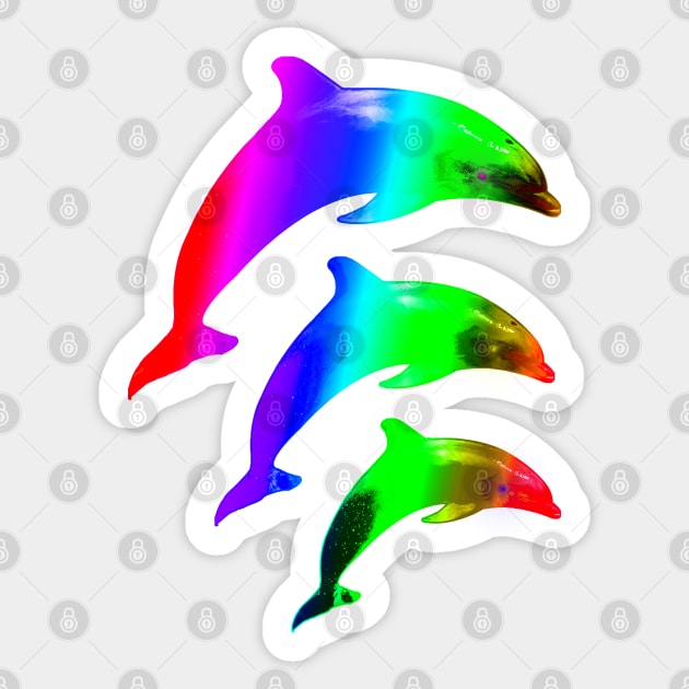 Multicolour Dolphin Save The Whales Animal Print Sticker by PoizonBrand